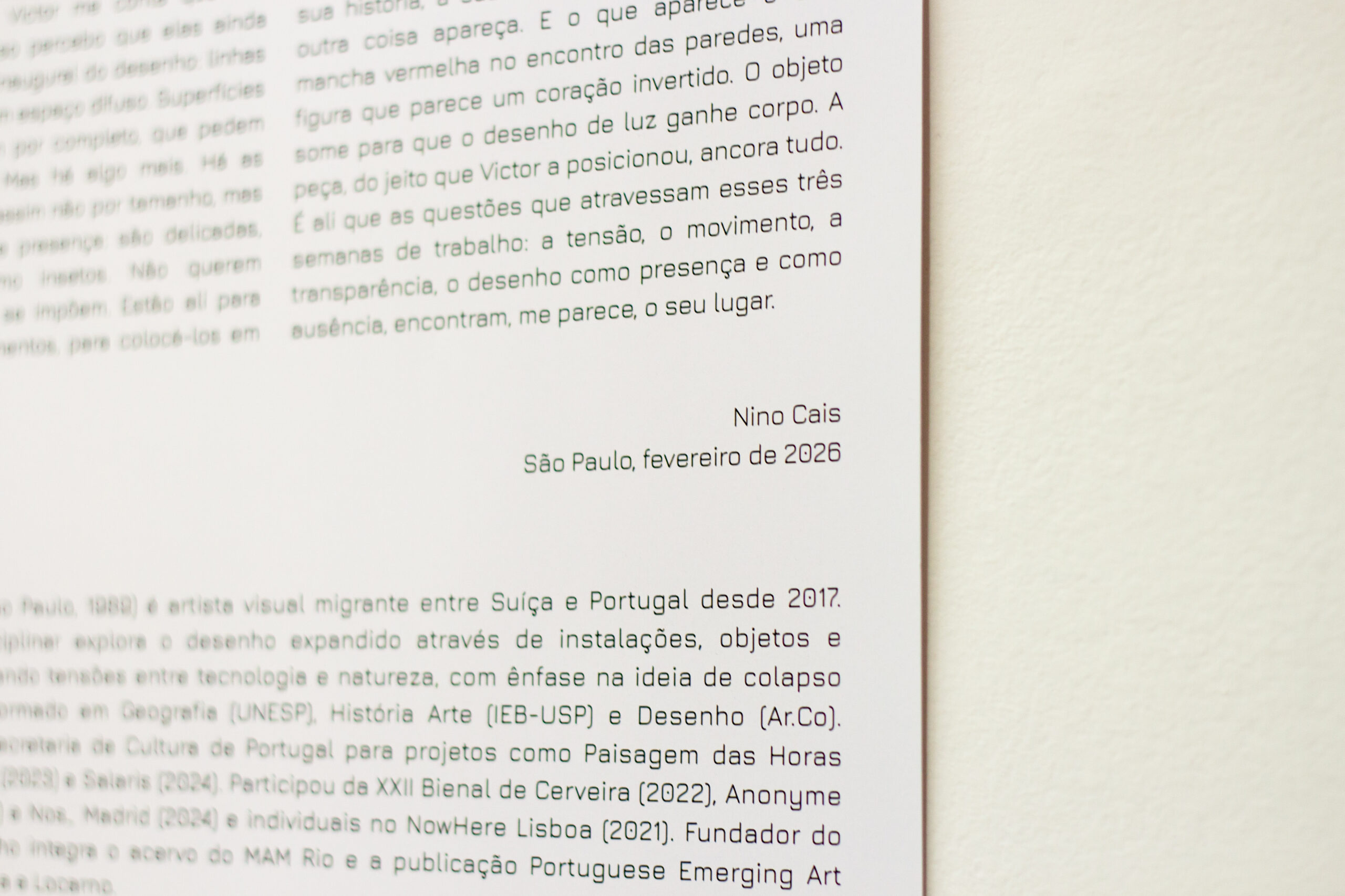 foto Patricia Black - Obras Victor Gonçalves - Texto Nino Cais