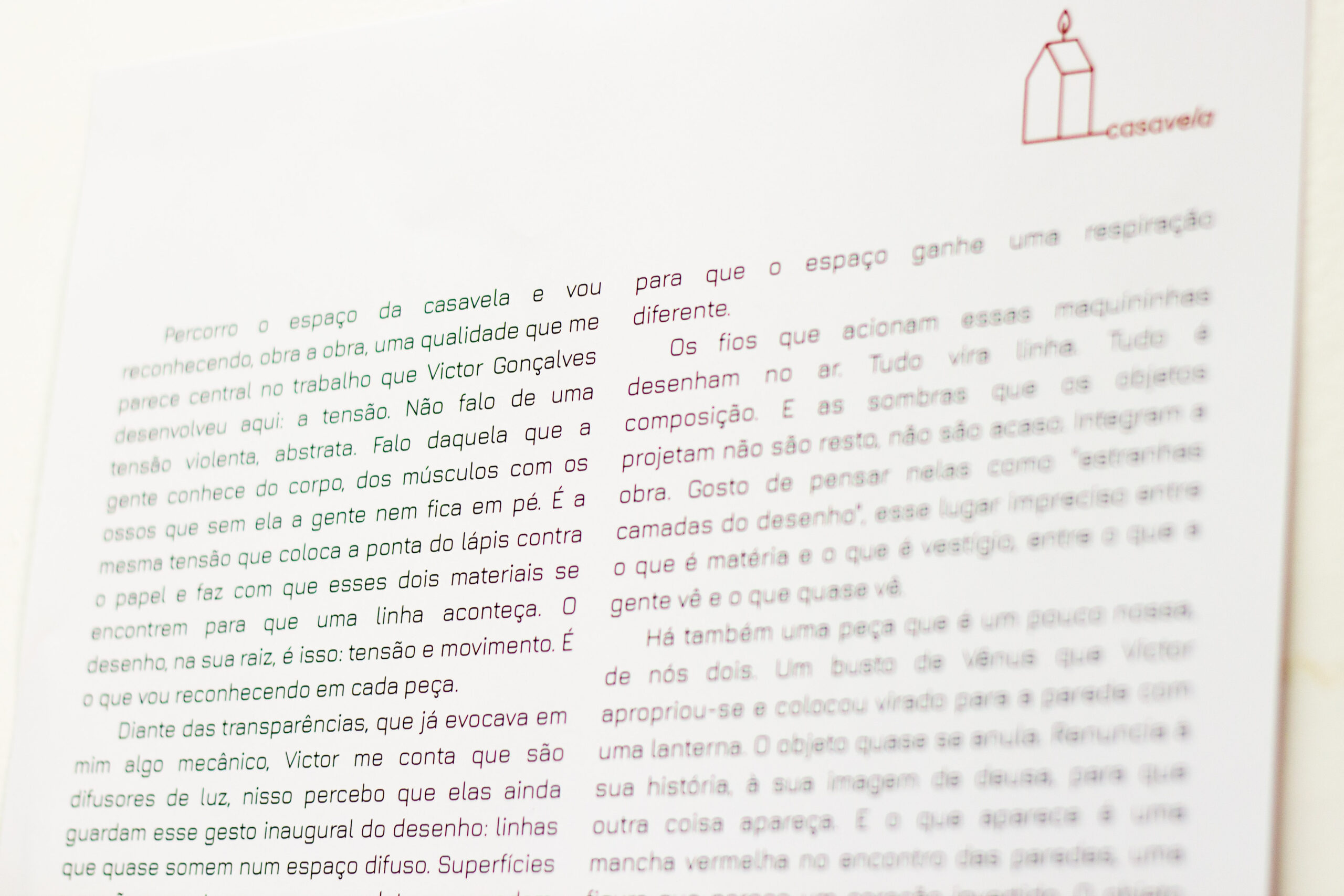 foto Patricia Black - Obras Victor Gonçalves - Texto Nino Cais
